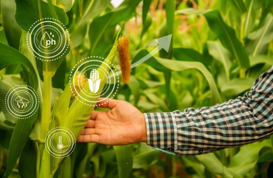 Banning of certain pesticides being discussed