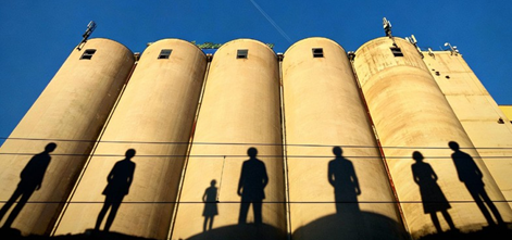Shaping the future of the grain storage industry 