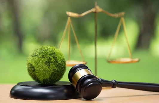 South Africa’s changing labour laws: What they mean for agribusiness and grain storers