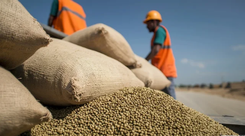 Thriving at export parity:  The strategic imperative for grain